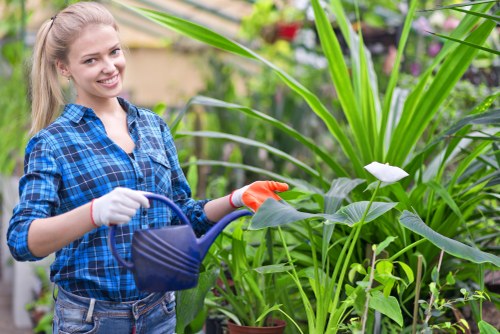 Gardener working on a suburban front garden in Surbiton