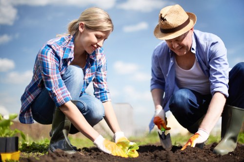 Professional garden maintenance services in Surbiton