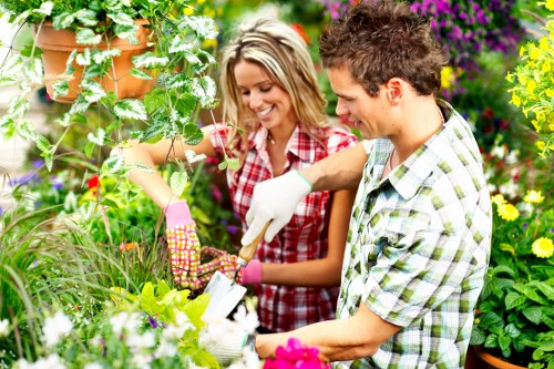 Wide range of garden maintenance services offered