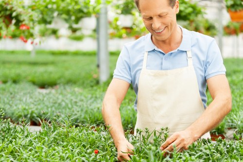 Garden design and landscaping services