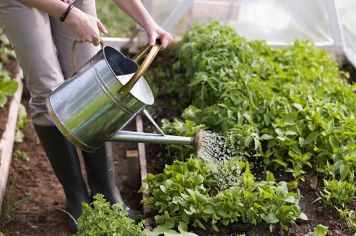 Professional garden services in action